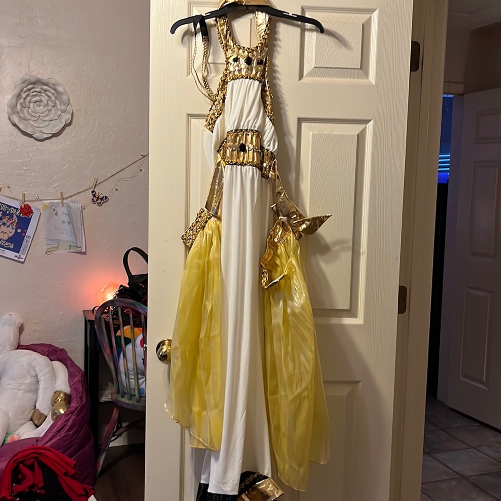 Halloween costume. Size medium